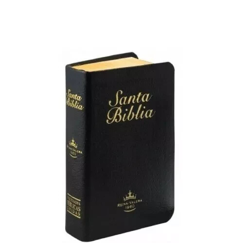 Bíblia mini bolsillo Reina Valera 1960 piel imitación canto dorado gallery