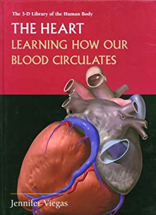 The Heart : Learning How Our Blood Circulates Library Binding Jen