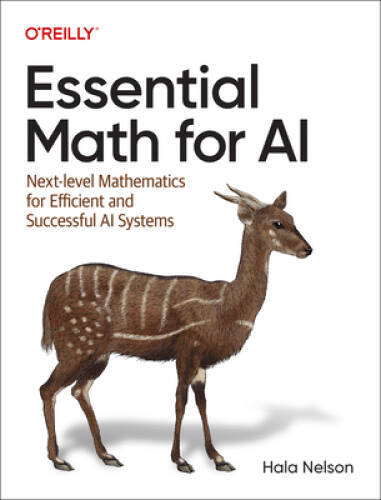Essential Math for AI: Next-Level Mathematics for Efficient and Successfu – GOOD