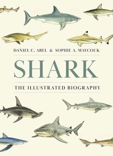 Shark: The Illustrated Biography by Daniel Abel: Used