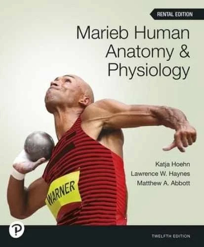 marieb human anatomy physiology 12th edition Rental Edition