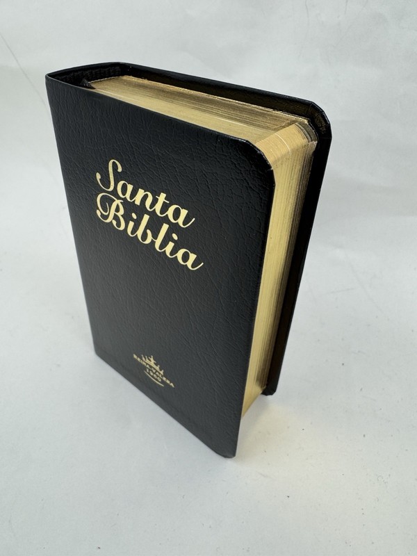 Bíblia mini bolsillo Reina Valera 1960 piel imitación canto dorado gallery