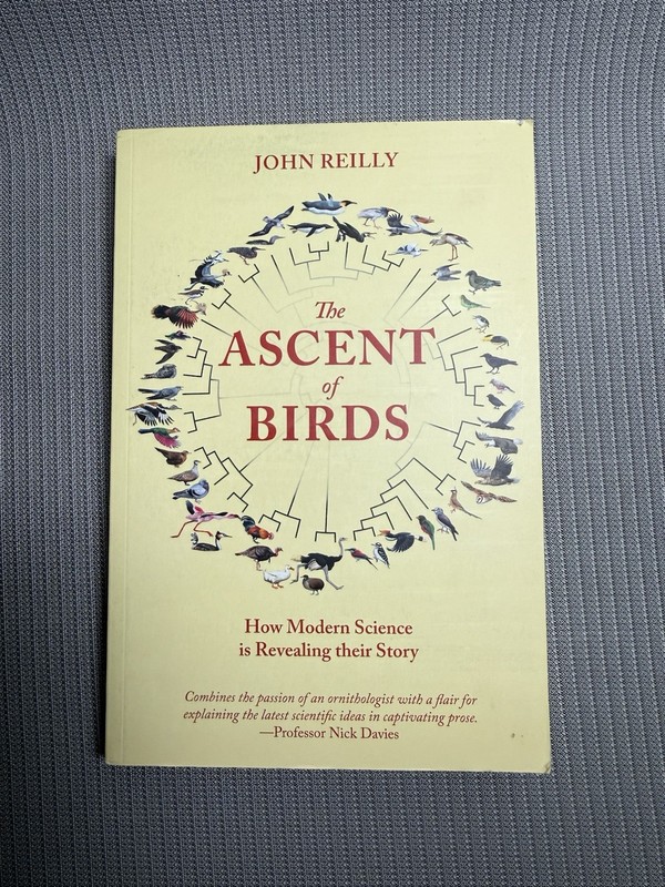 Ascent of Birds : How Modern Science Is Revealing Their Story, Paperback