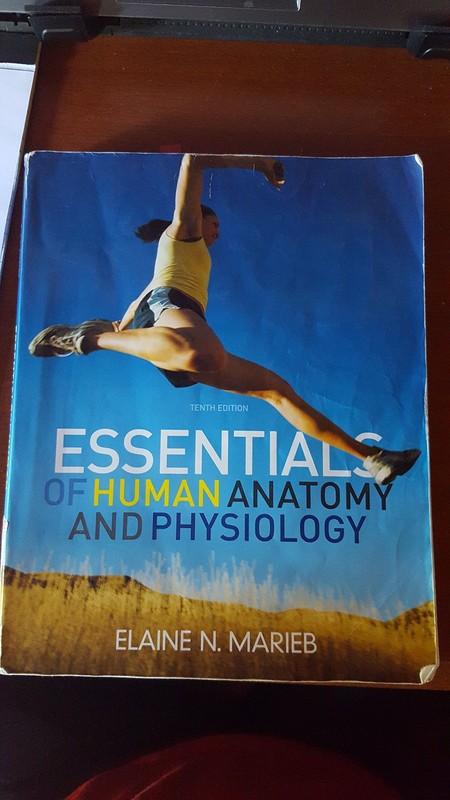 Essentials of Human Anatomy & Physiology (10th Edition) – paperback Marieb, …