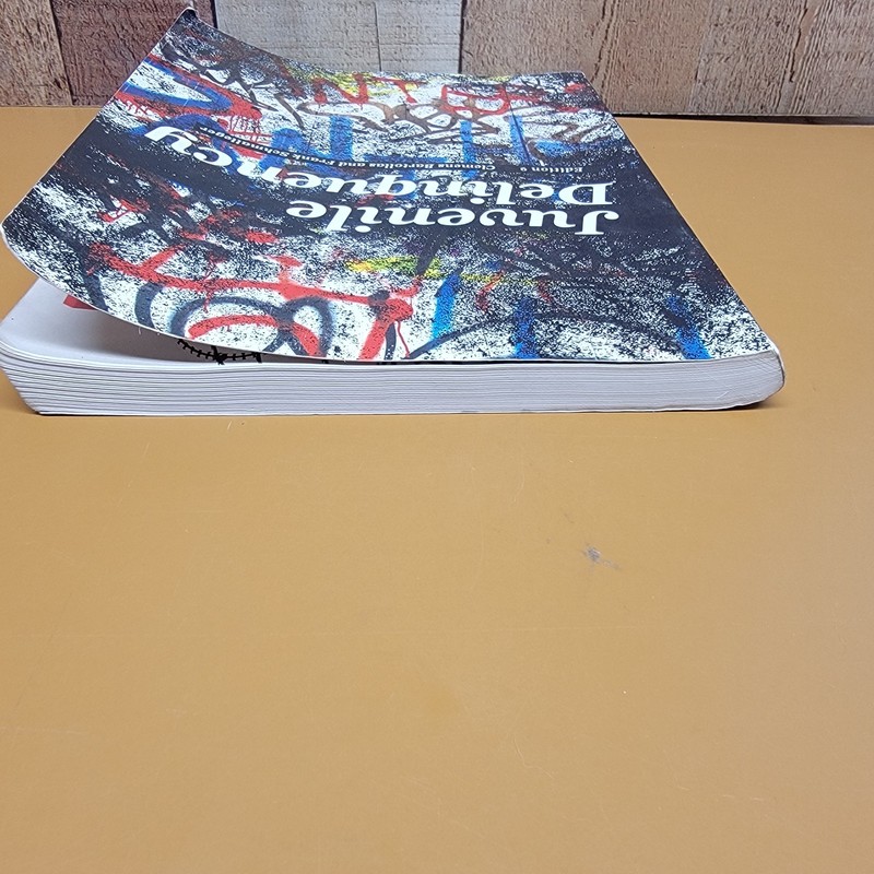 Juvenile Delinquency Edition 9 Bartollas Schmalleger Pearson Paperback gallery