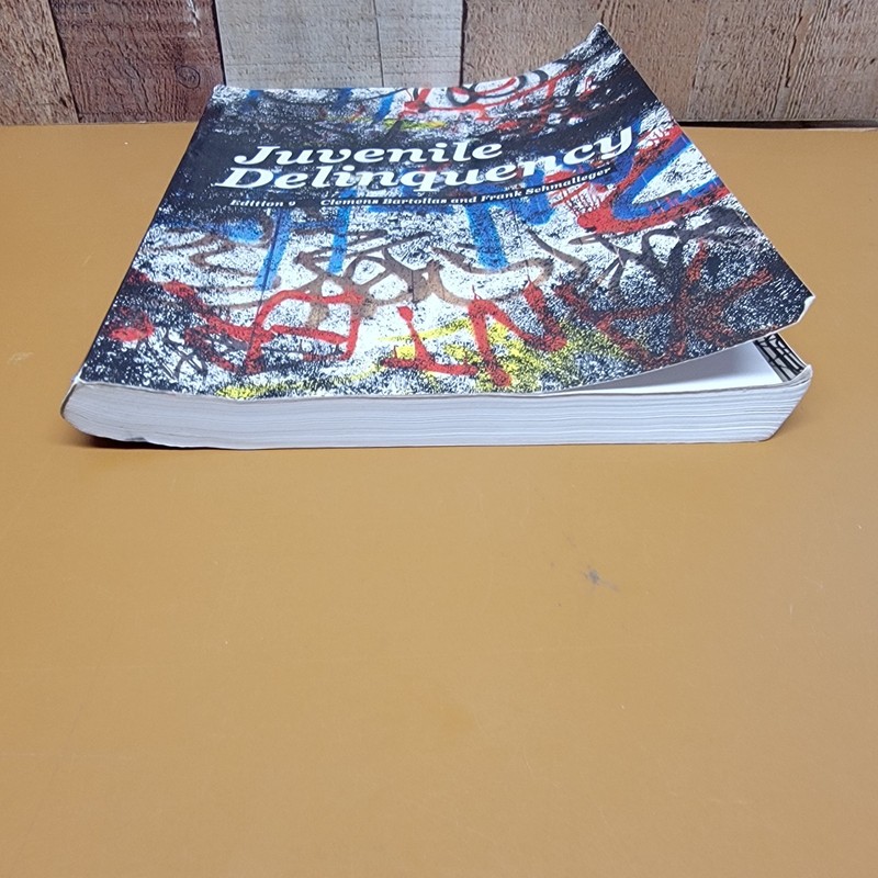 Juvenile Delinquency Edition 9 Bartollas Schmalleger Pearson Paperback gallery