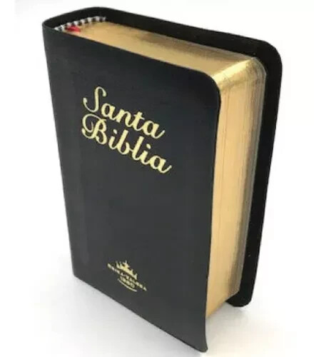 Bíblia mini bolsillo Reina Valera 1960 piel imitación canto dorado gallery