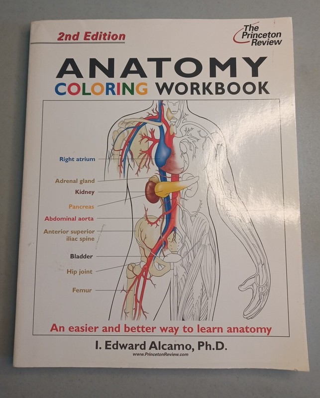 Princeton Review Anatomy Coloring Workbook (2003) Unmarked, Good Condition