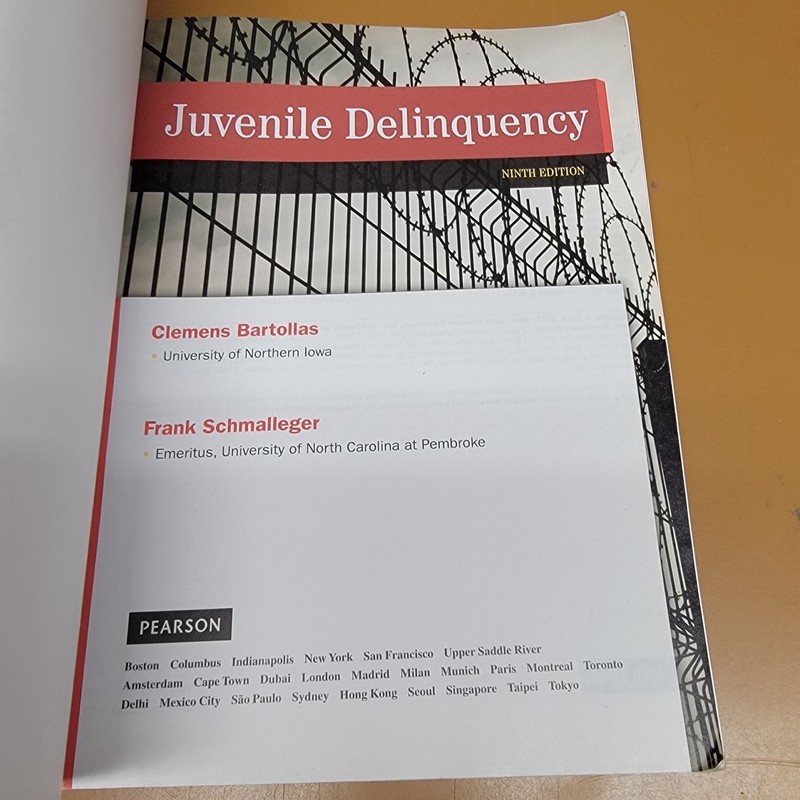 Juvenile Delinquency Edition 9 Bartollas Schmalleger Pearson Paperback gallery
