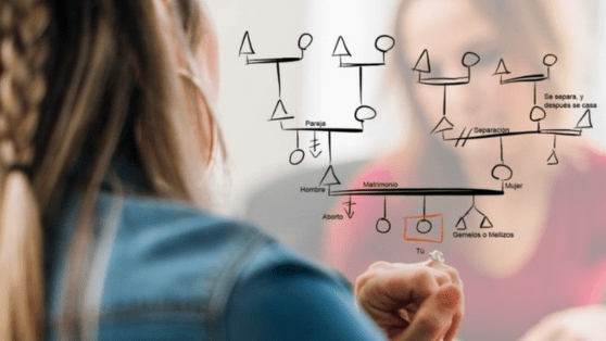 Curso Taller: Genograma y Familiograma